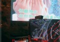 鸡场招聘文案模板（鸡舍员工招募启事文案范本）